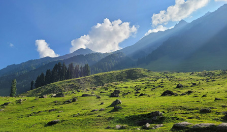 Khilanmarg meadow